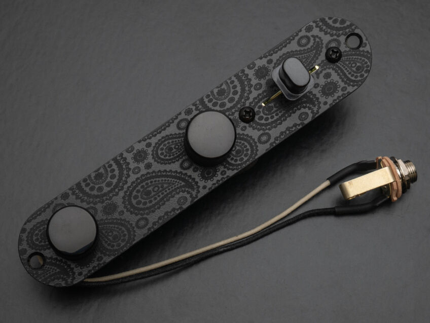 black paisley tele control plate